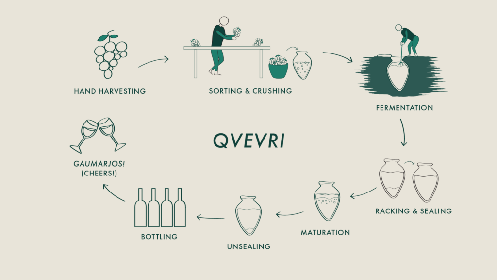 Wine Making Process_16x9 v02